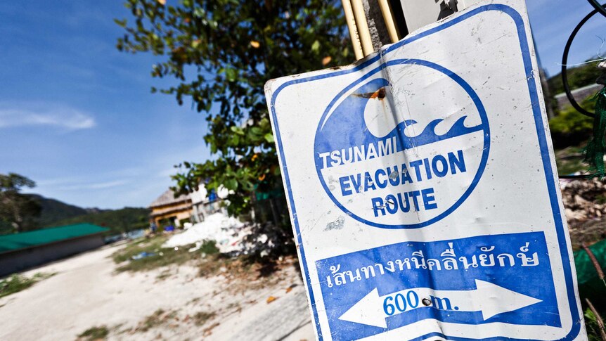 Tsunami evacuation sign on beach