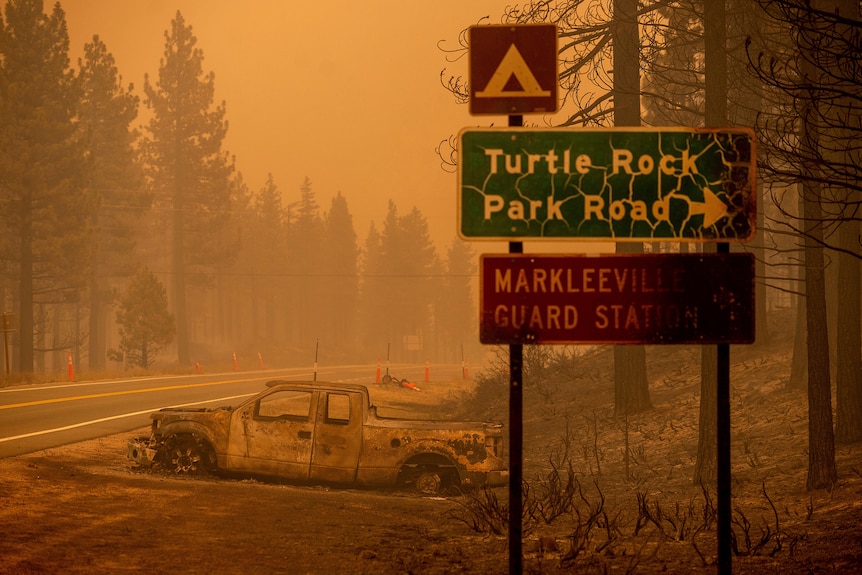 O mașină arsă se află pe marginea drumului unde a izbucnit focul Tamarack în comunitatea Markleville din județul Alpine, California.