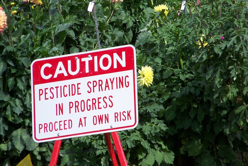 Sign which says 'caution pesticide spraying in progress proceed at own risk'