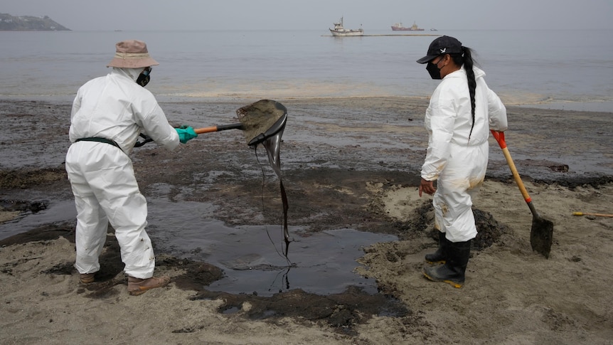 Workers, dressed in protective suits, clean oil contaminating a beach.