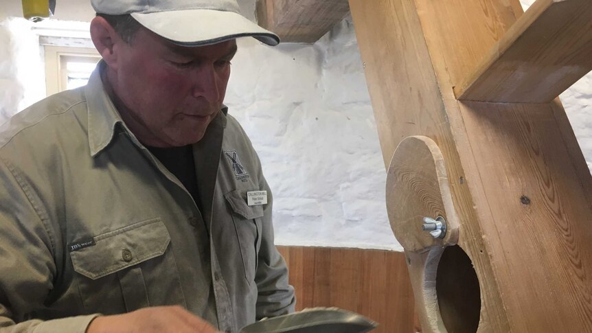 Head miller Peter Schultz is grinding buckwheat into flour at the historic Callington Mill in Tasmania.