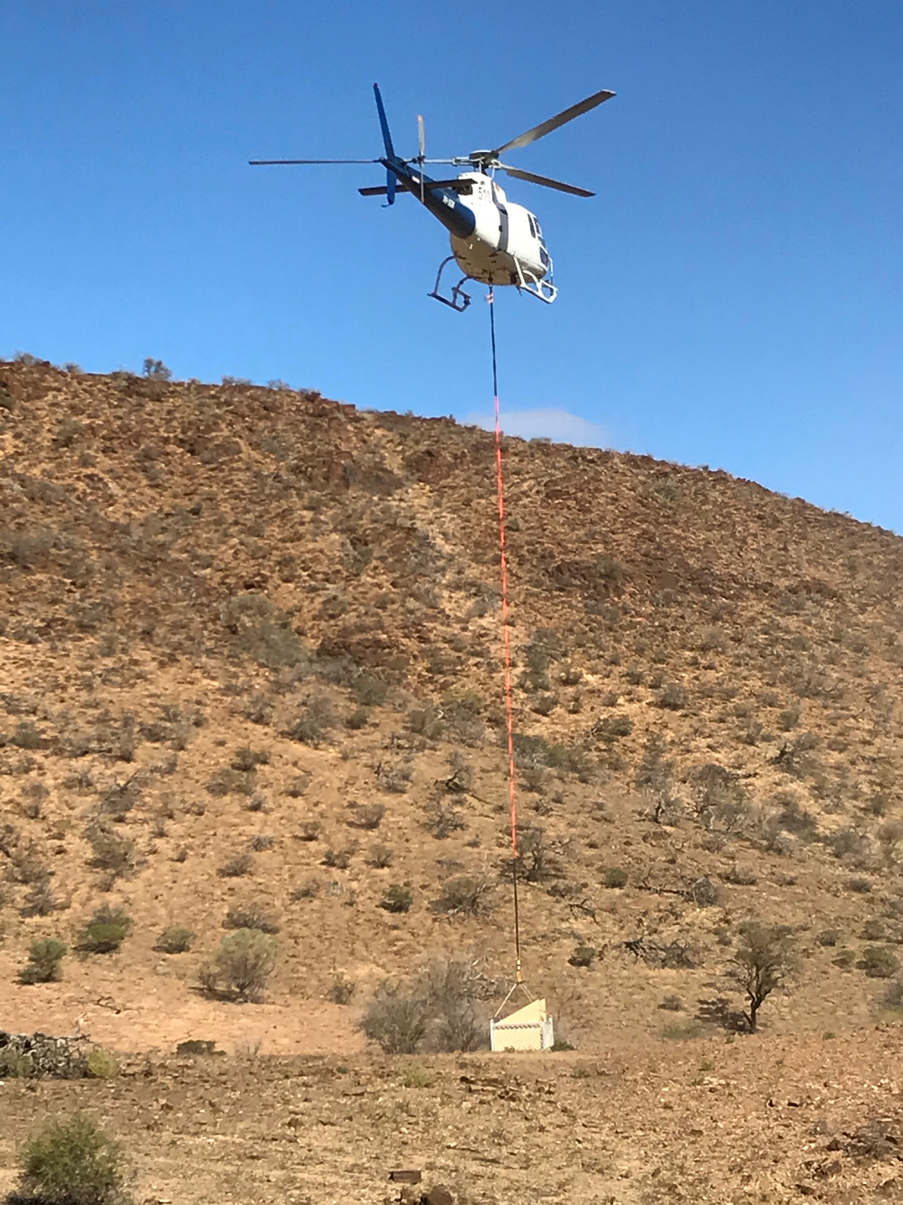 Purple Spotted Fish In A Spin As Chopper Relocates Them To Flinders Ranges Abc News