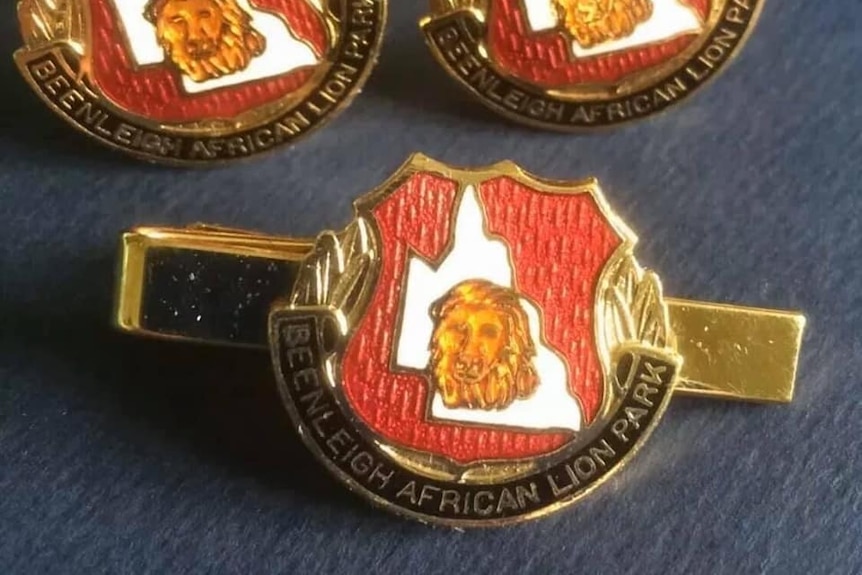 Gold and red enamel pins with a lion's face on the front