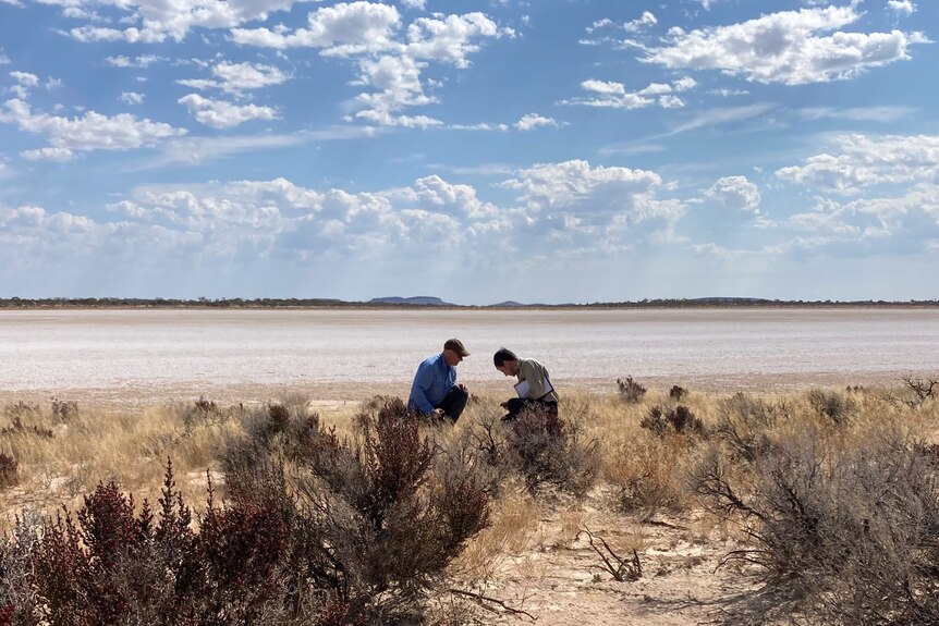 Two men kneel facing each other in front of a dry salt lake. The sky is blue and shining and the grass is golden in the fore.