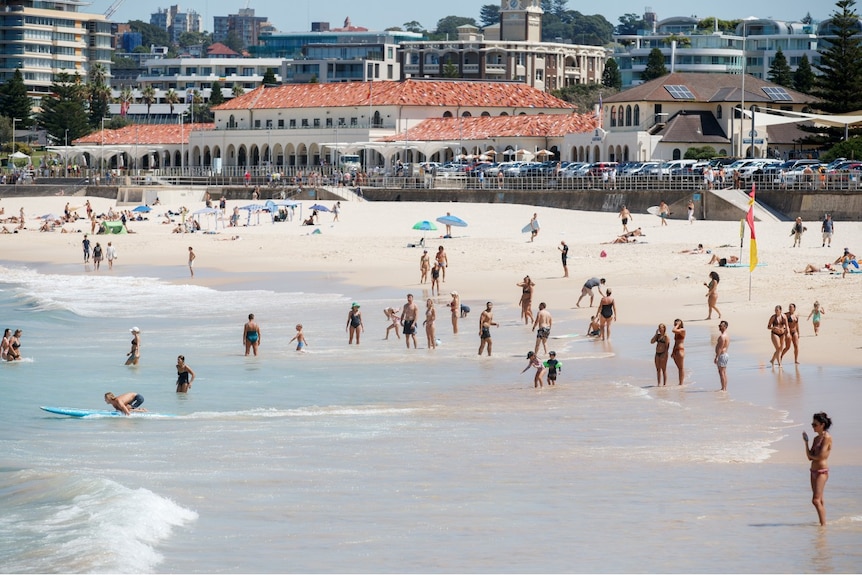 Several people seen swimming and relaxing at the beach, seen from far away