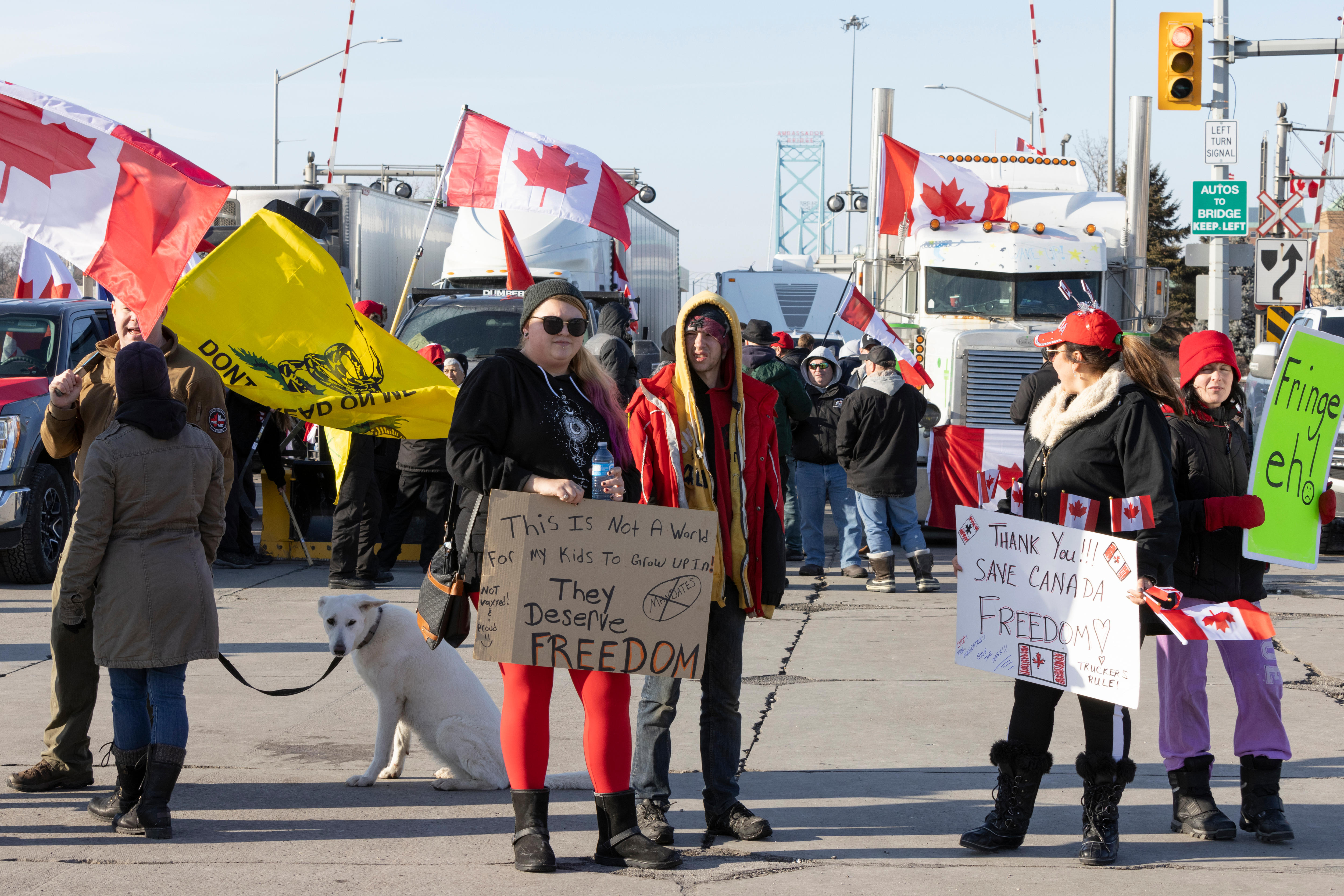 Canadian judge orders end to COVID19 protest blockade at US border