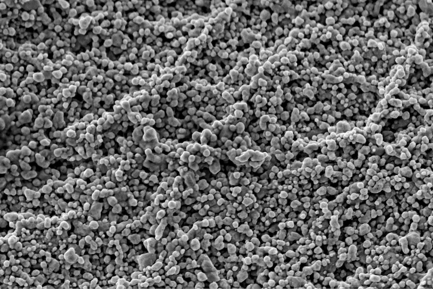 Close-up of the nanostructures grown on cotton textiles.