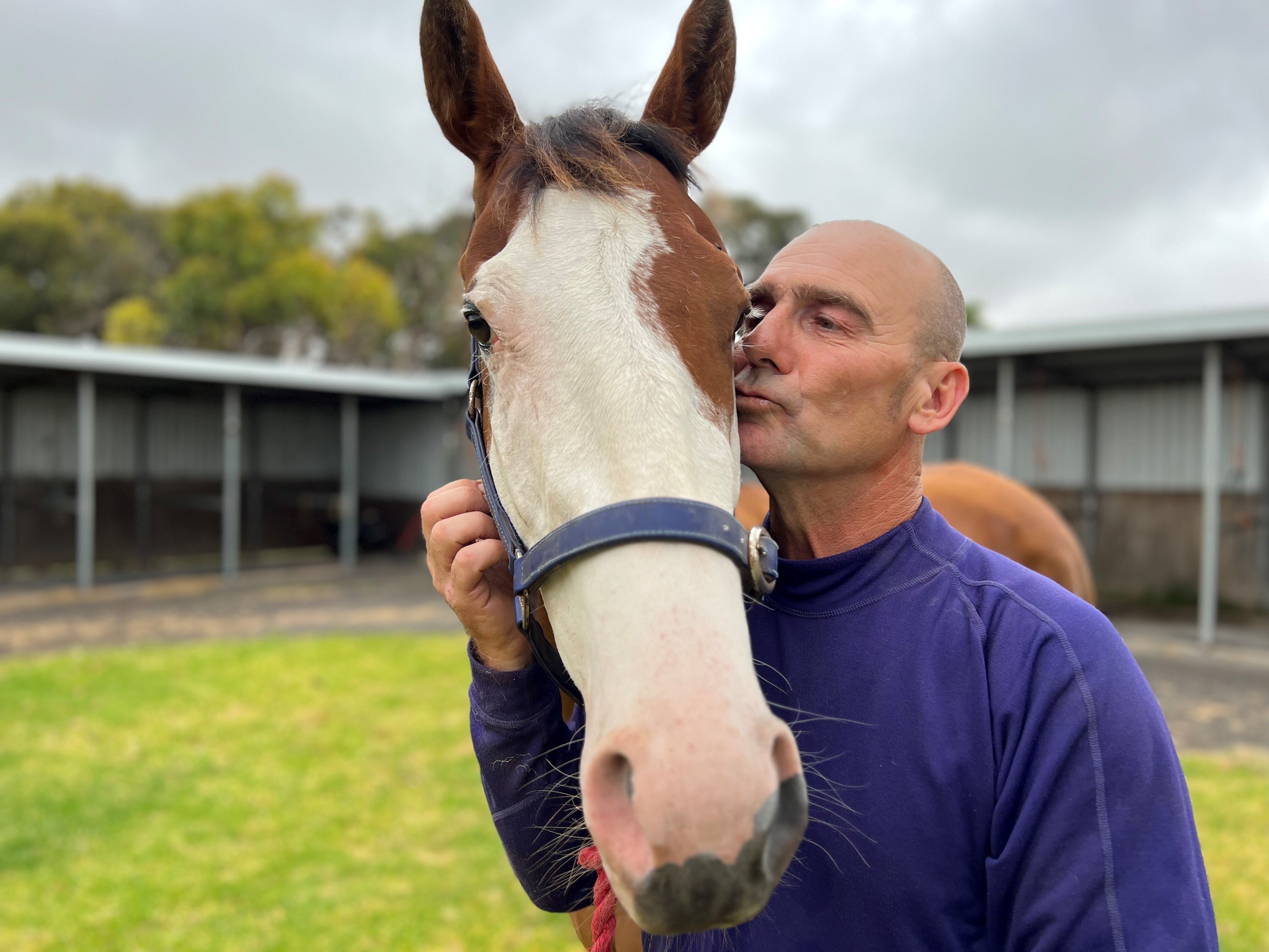 Racehorse Comanche Queen saves SA trackwork rider Danny Smith from life ...