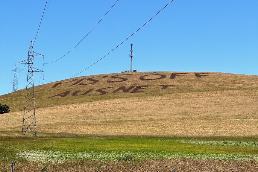 A green hill on a sunny day with the words "piss off AusNet" ploughed into the dirt. It is surrounded by transmission lines.