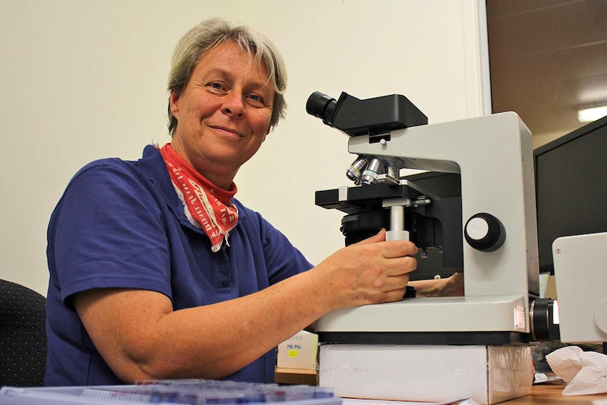 Mycologist Heike Neumeister-Kemp sits in front of a microscope