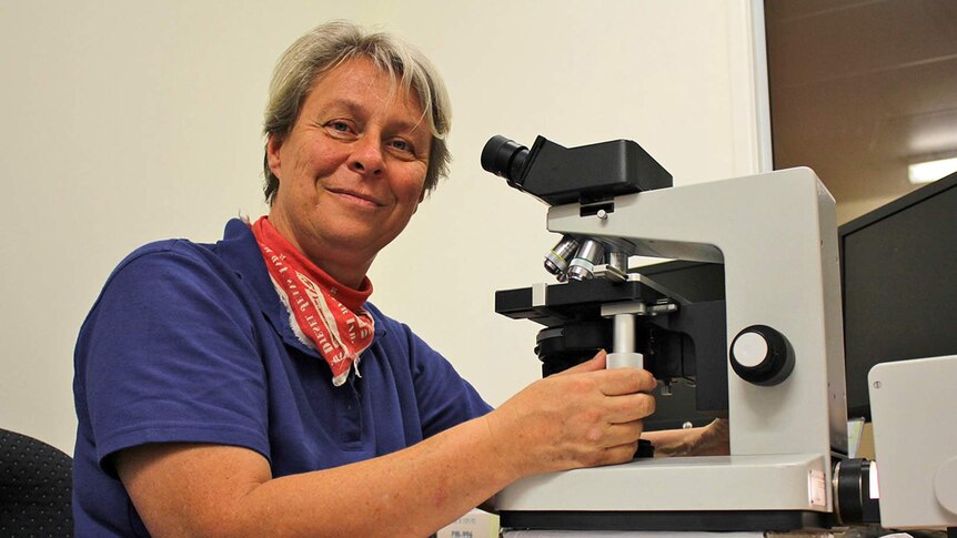 Mycologist Heike Neumeister-Kemp sits in front of a microscope