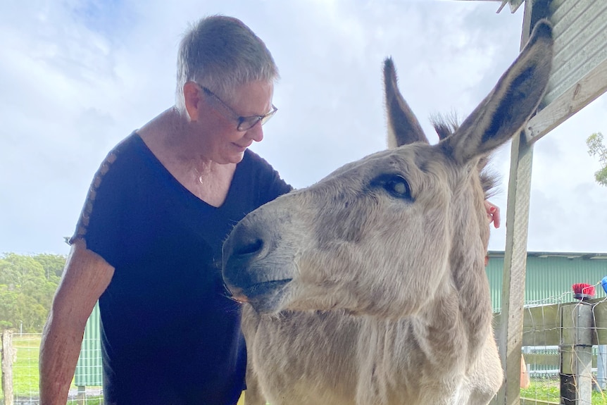 woman stands with a donkey looking at each other