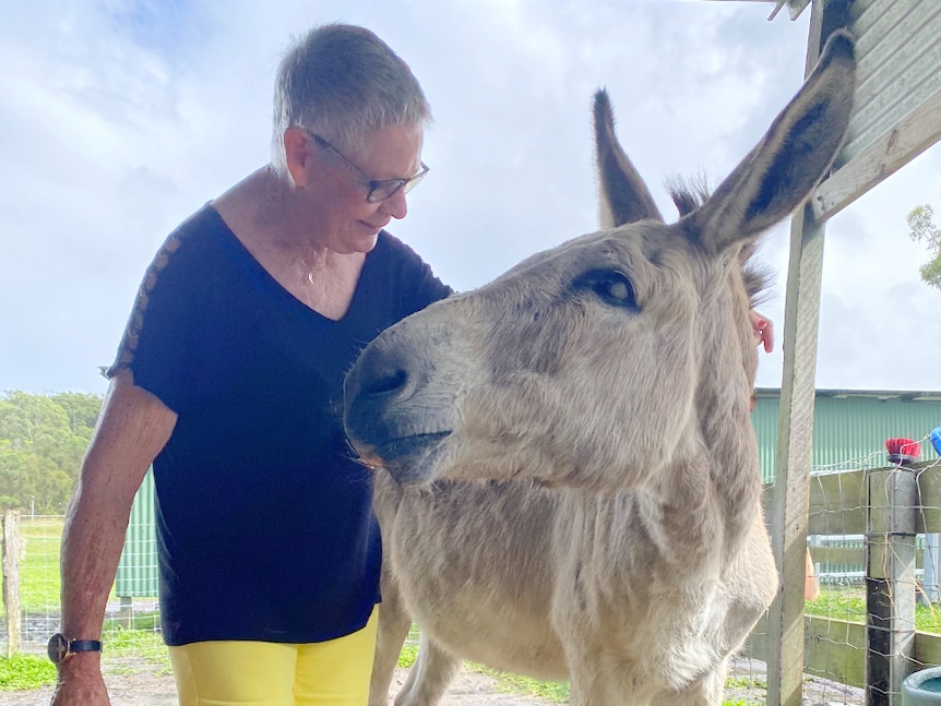woman stands with a donkey looking at each other