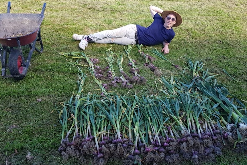 A man in a hat and sunglasses lies on the grass above a large crop of garlic