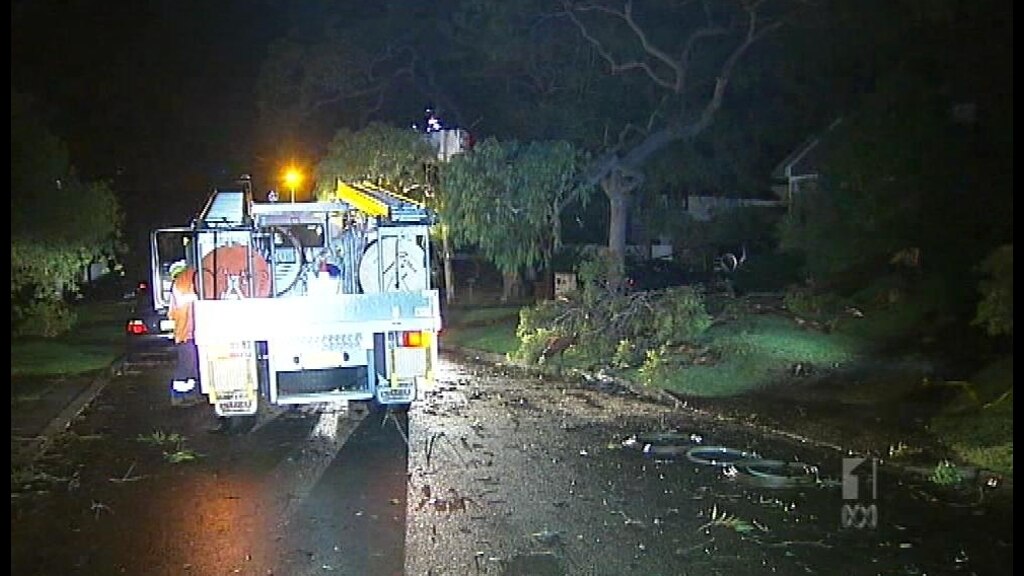 NSW storm system wreaks havoc - ABC News
