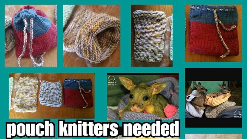 knitted animal pouches for joeys