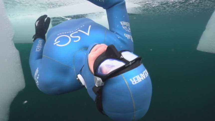 Ant Williams in a wetsuit diving beneath the ice