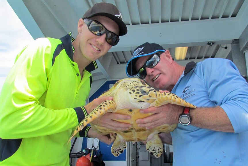 Dive boat crew members hold Harry the hawksbill turtle moments before his release back into the wild.