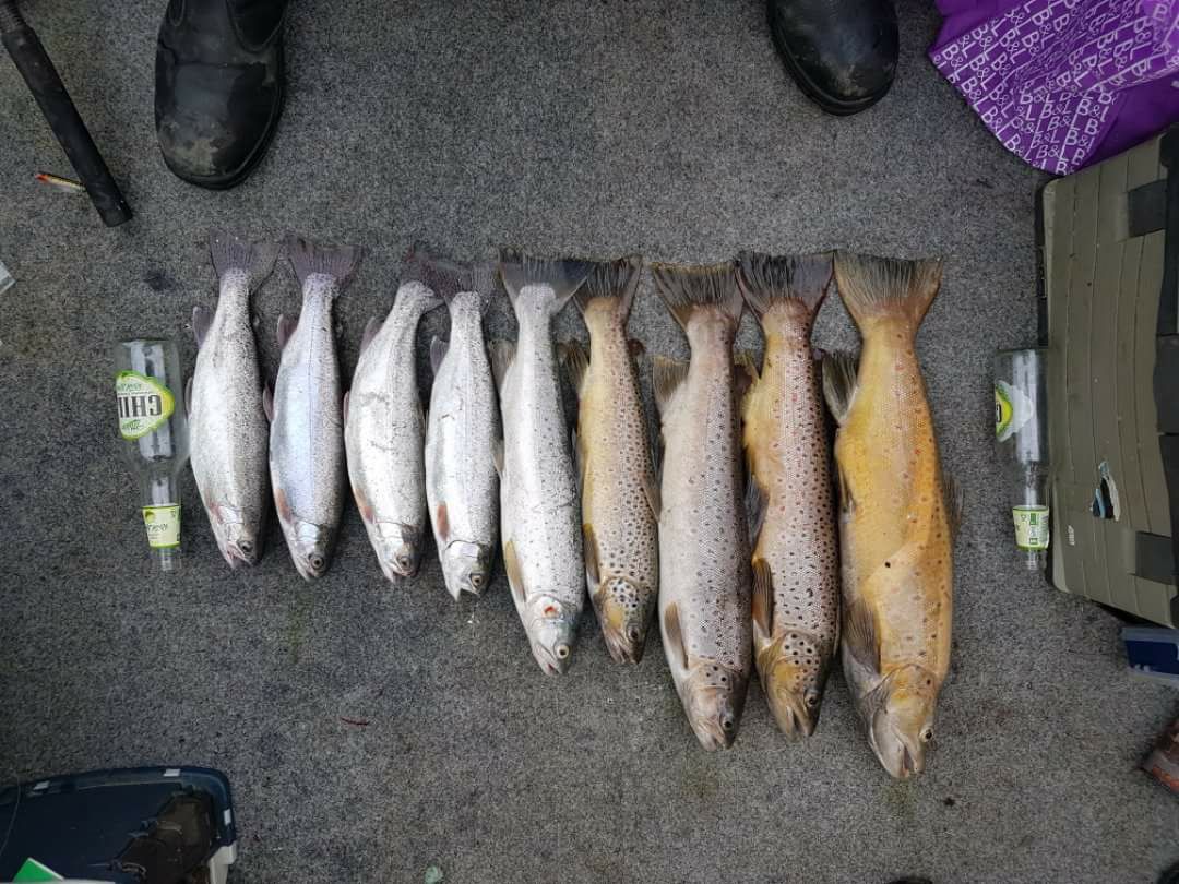 Anglers take to the waters for Tasmania's brown trout season opening weekend ABC News