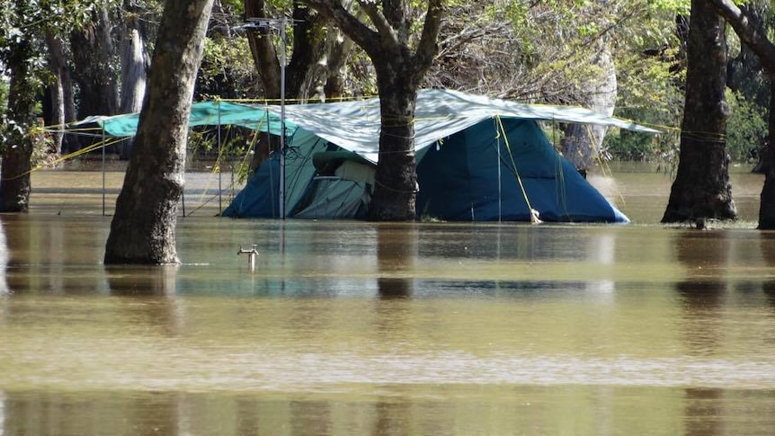 Flooded tent in camp ground at Wangaratta, Victoria
