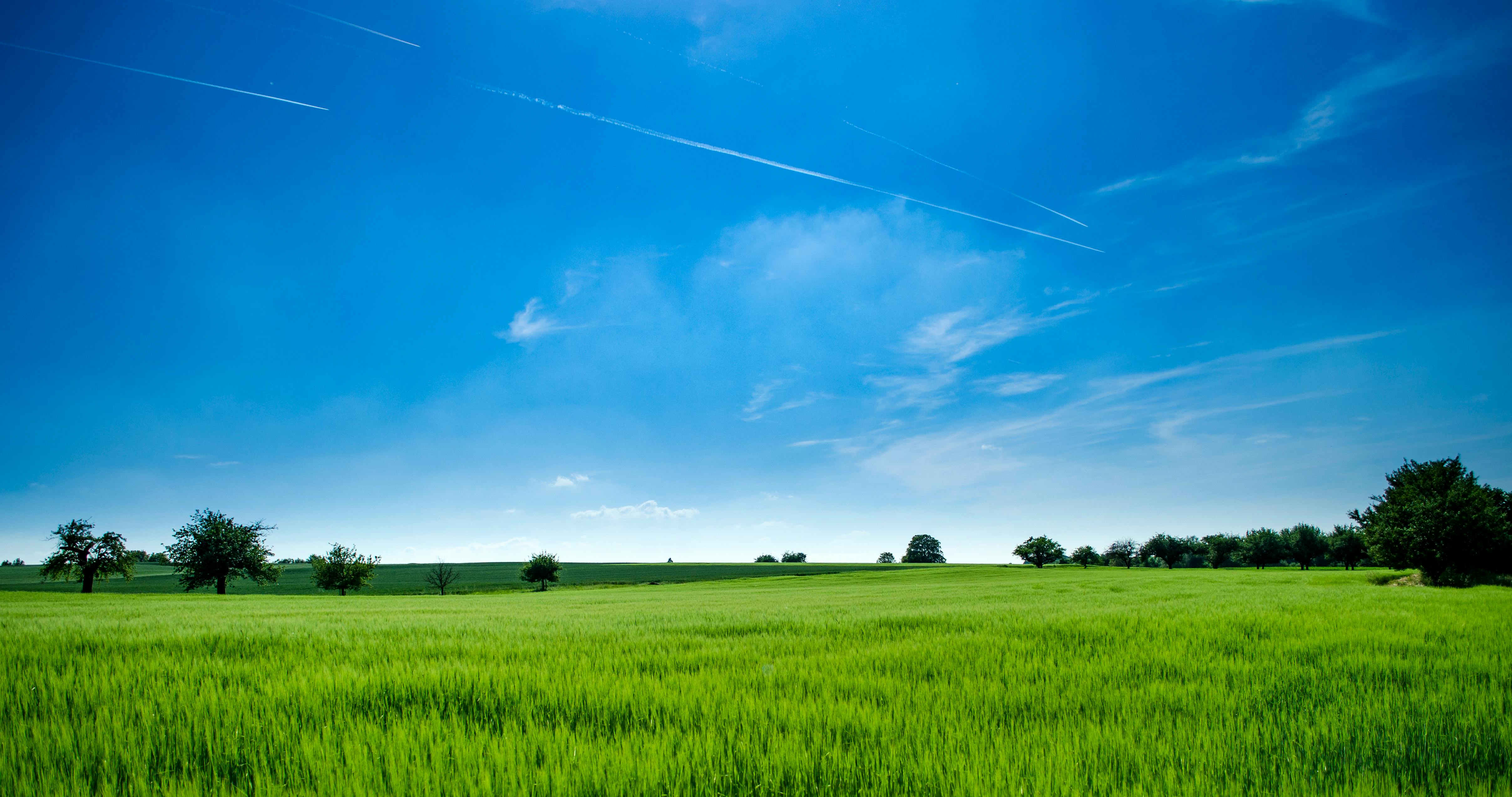 A wide stretch of green field under a brilliant blue sky