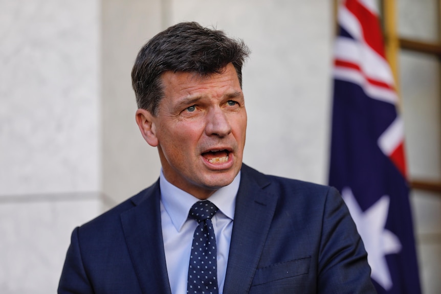 Angus Taylor vistiendo un traje azul y corbata manchada de blanco y azul a mitad de oración frente a una pared de mármol blanco