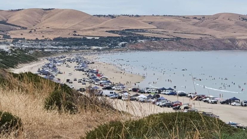 A beach with hundreds of cars parked on the sands
