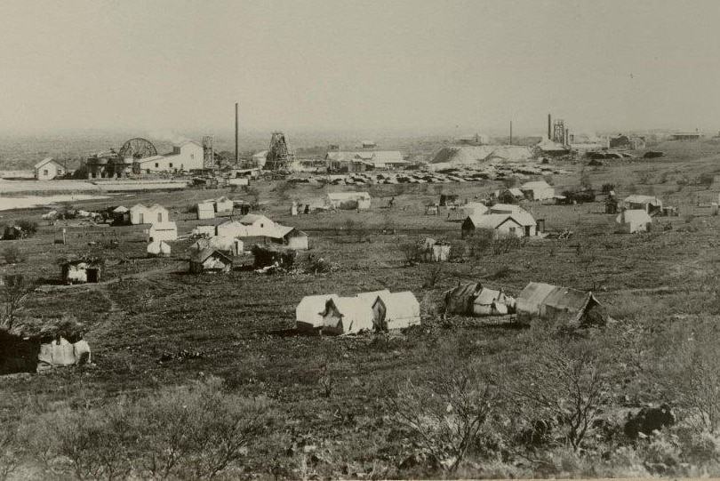 A black and white photograph showing buildings in Gwalia in 1902.