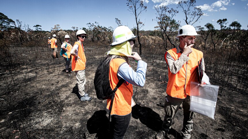 Group of people in hard hats stand in the burnt fire ground on the NSW east coast.