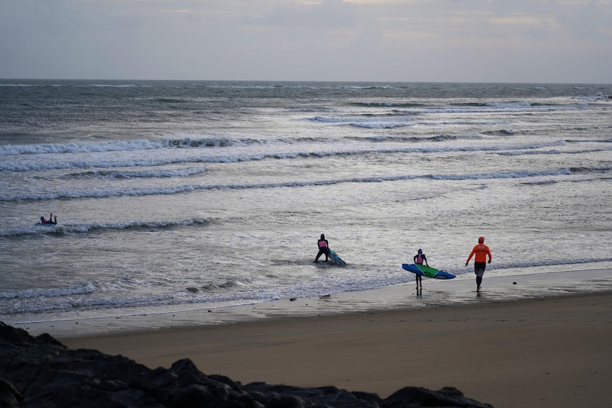 Surfers in the water of a beach in Mackay. Small waves.