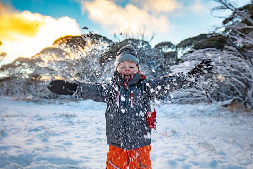 A young boy frolics in the snow at Dinner Plain near Mount Hotham.