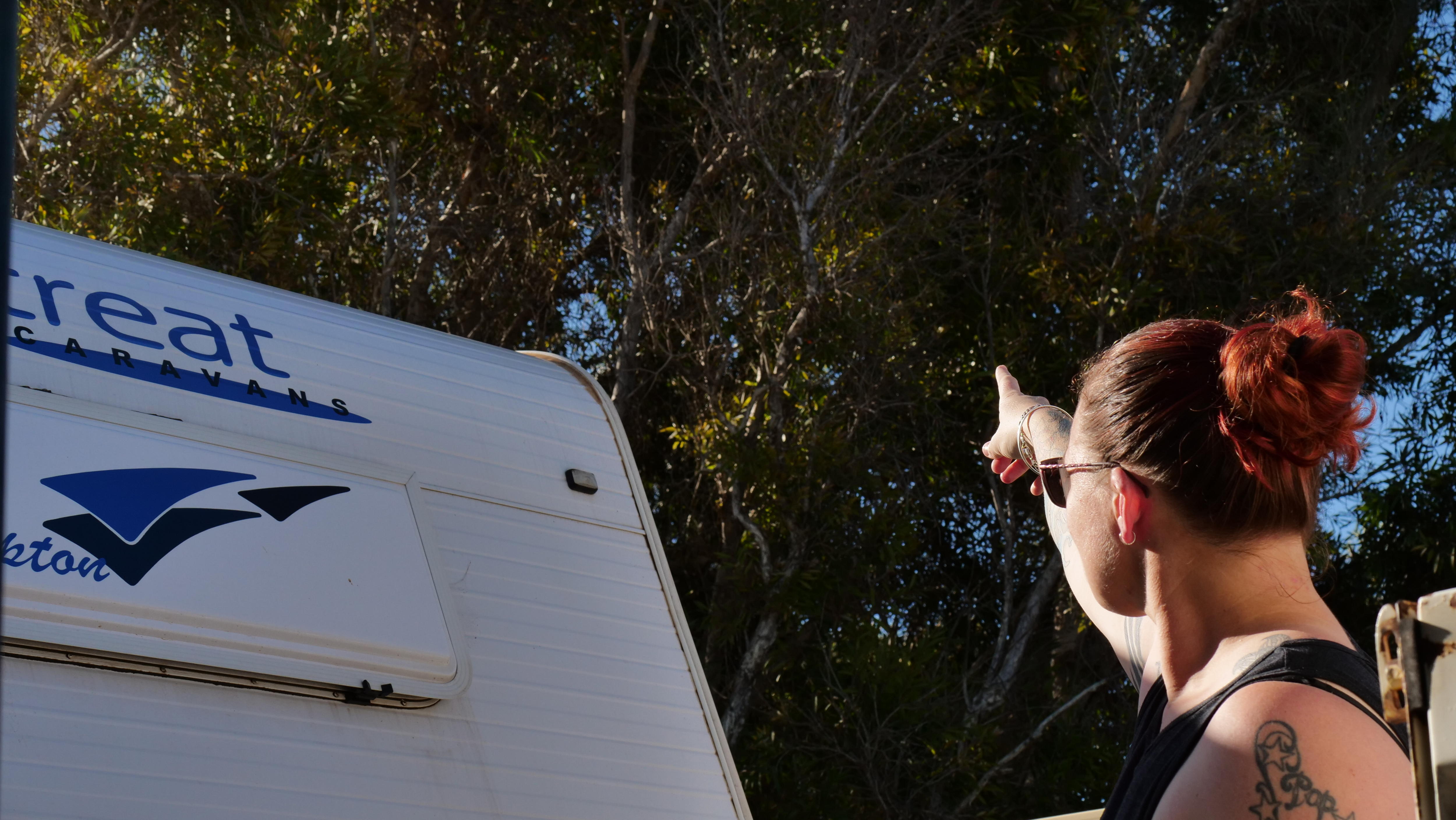 Un ángulo bajo detrás de una mujer que señala y mira hacia la copa de un árbol junto a una caravana. 