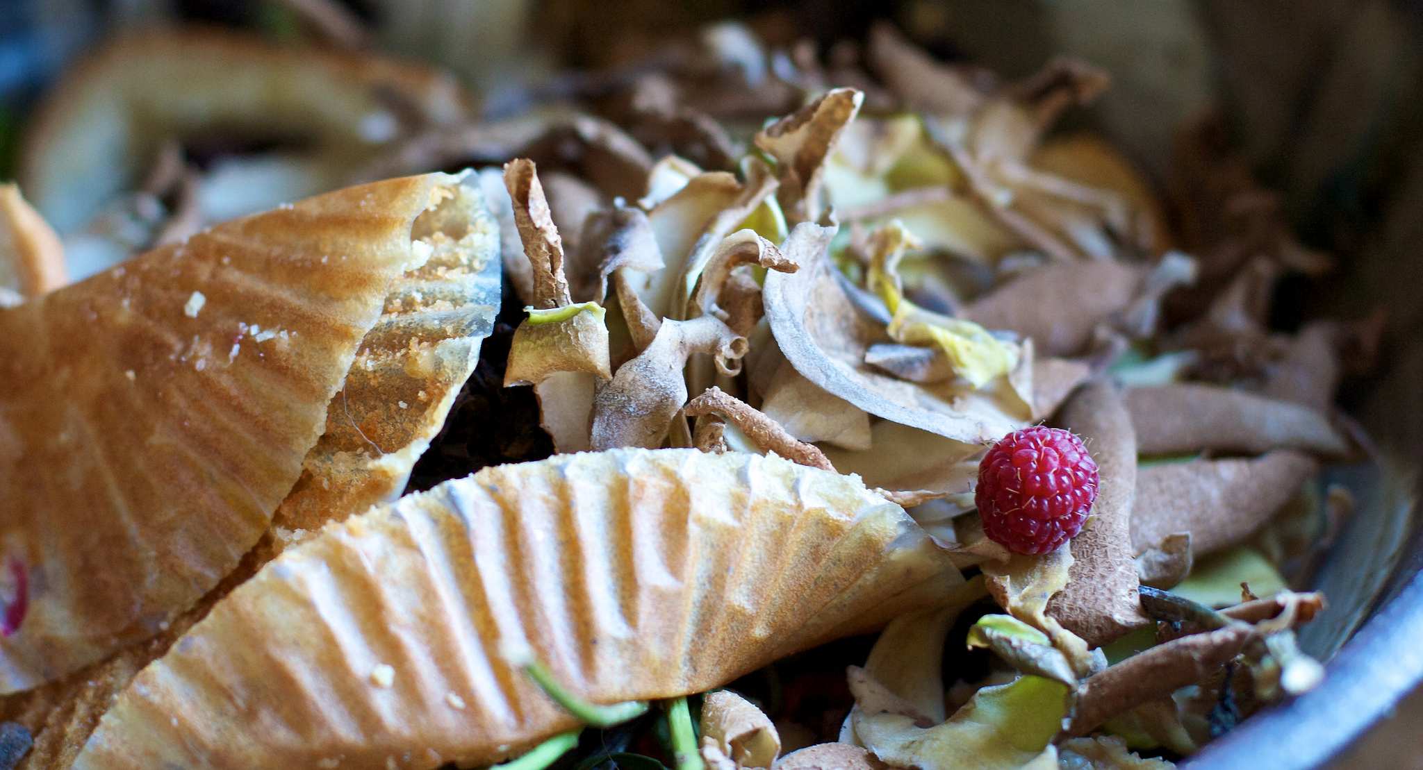 Can you compost citrus and onion? Busting the myths about food scrap