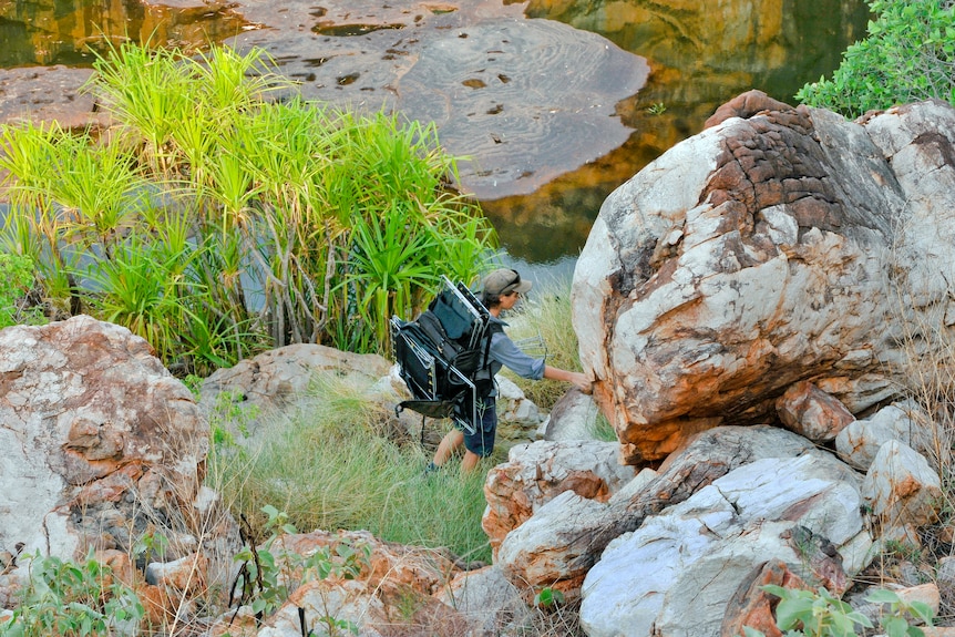 A trap line in rugged terrain during a fauna survey