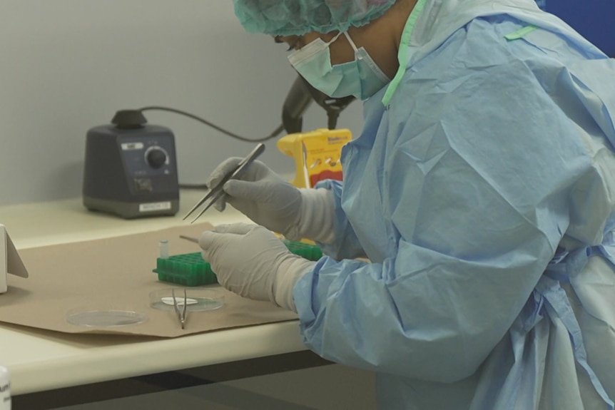 A woman wearing a mask and gloves, holding tweezers, at a workbench.