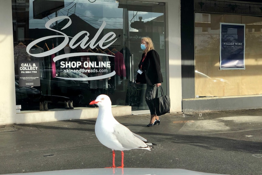 A closed shop front with a seagull in the foreground.