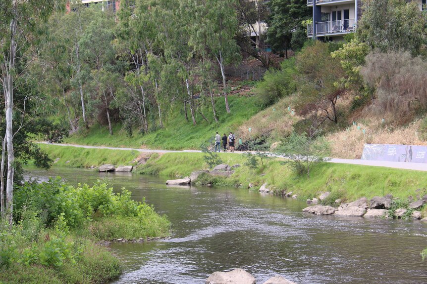 The walking track along the Yarra River in Abbotsford, in Melbourne's inner east.