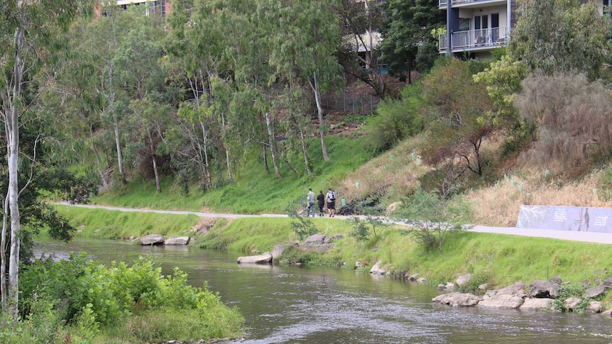 The walking track along the Yarra River in Abbotsford, in Melbourne's inner east.