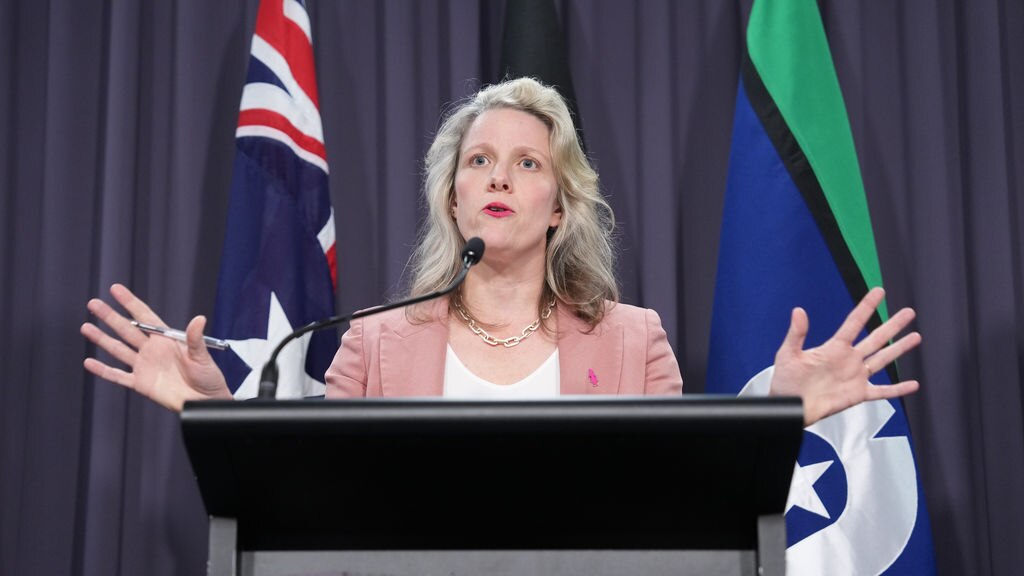 Final Week of Federal Parliament - ABC News