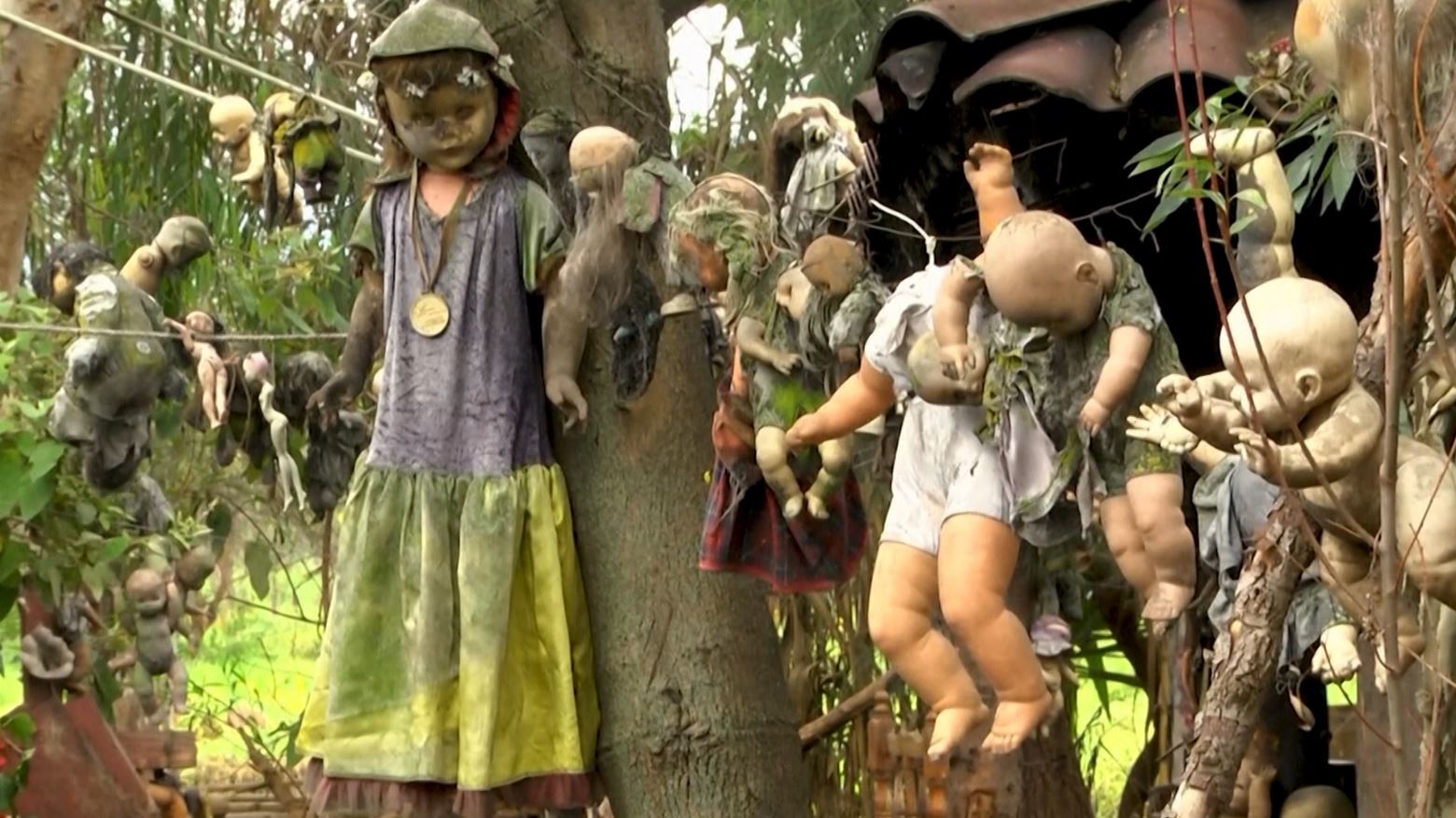 The spooky story behind the Mexican Island of Dolls bring chills to