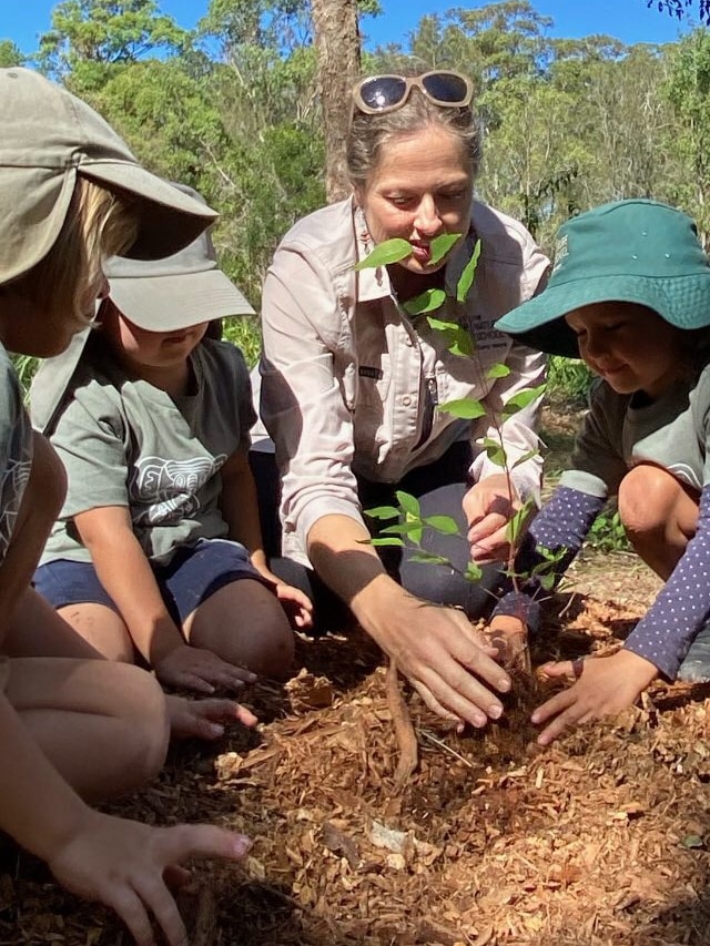 Children planting a sapling into the earth covering with mulch bark 