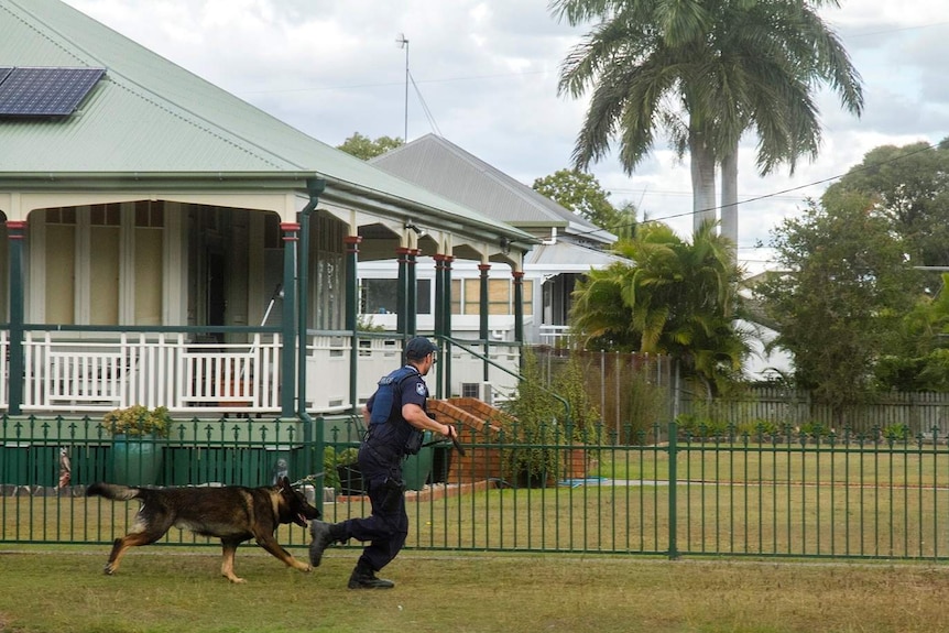 Police officer and dog chasing prison escapee in Bundaberg on June 5, 2018.