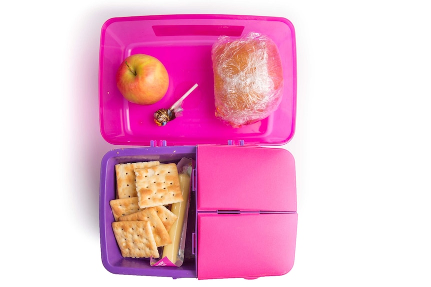 A vegemite roll, apple, crackers, cheese stick and a cola lolly pop in a purple and pink lunch box.