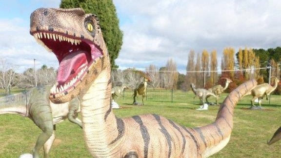 Police say the 1.6 metre fibreglass Utahraptor was found in the sunroom of a north Canberra home.
