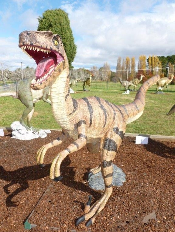 Police say the 1.6 metre fibreglass Utahraptor was found in the sunroom of a north Canberra home.