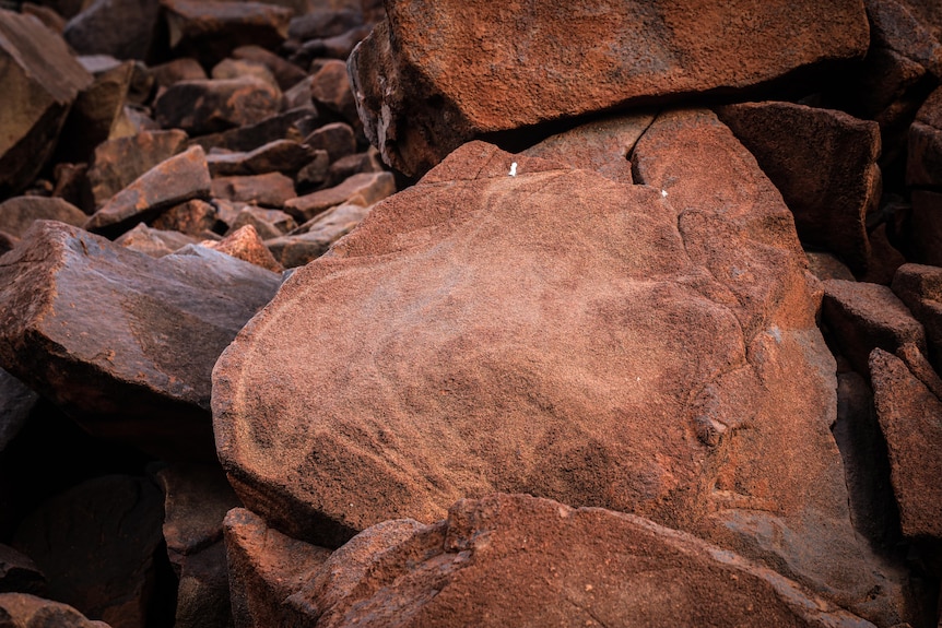 Rock art of an emu.