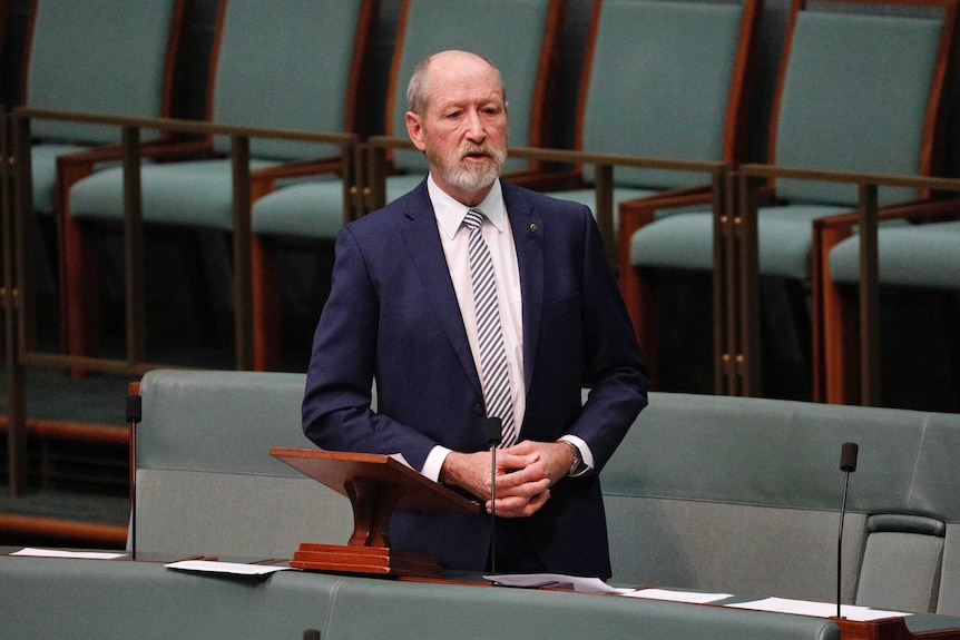 A man in a dark suit speaks in parliament.