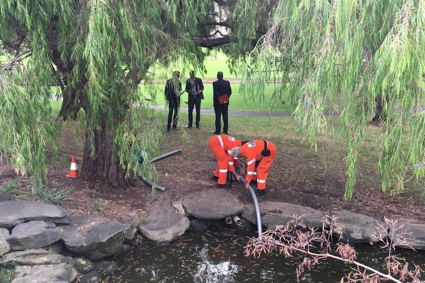 Two police in orange uniforms hold a pipe which is draining a pond.