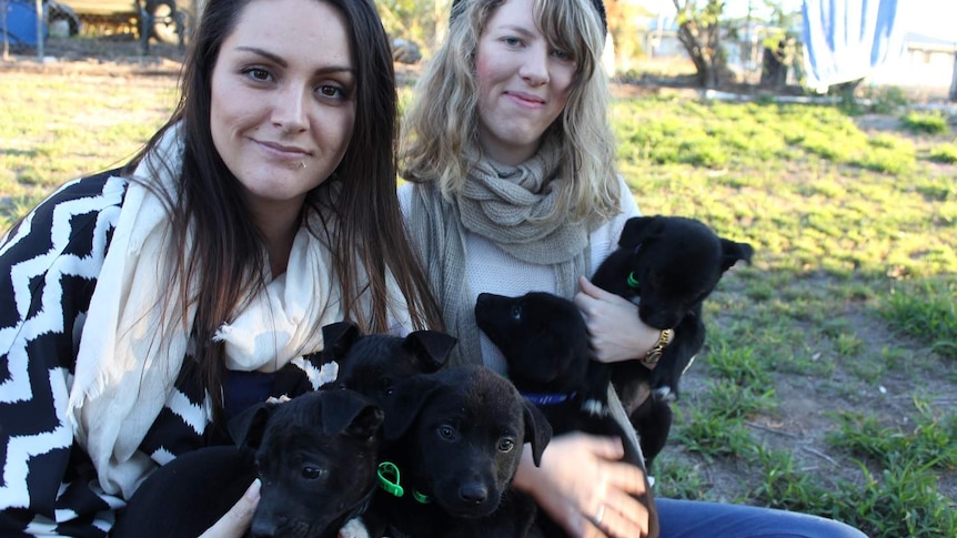 Two women sit on the grass holding black puppies in their laps and smile at the camera