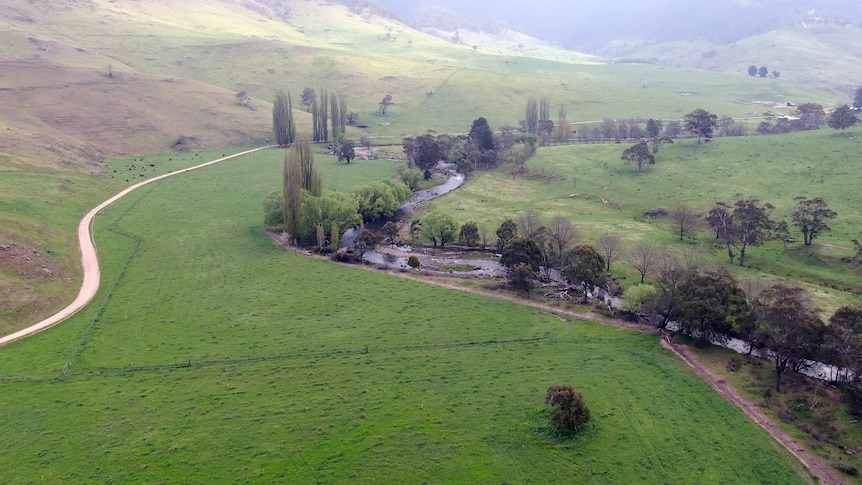 An aerial image of a river flowing through green paddocks at the bottom of a mountain valley.